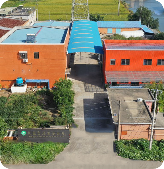 Xinghua Maosheng cibum Co., Ltd.