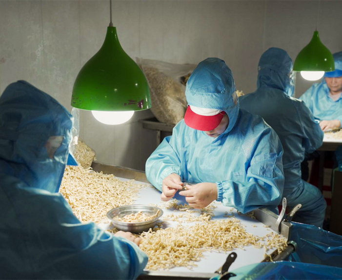 Xinghua Maosheng cibum Co., Ltd.