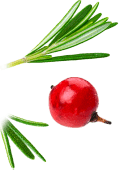 Xinghua Maosheng cibum Co., Ltd.